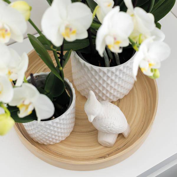 Kerzenständer Vogel Weiß Polystone ↕12cm – dekorativer Kerzenhalter, Tischdeko & Wohnaccessoire für Zuhause – Plant