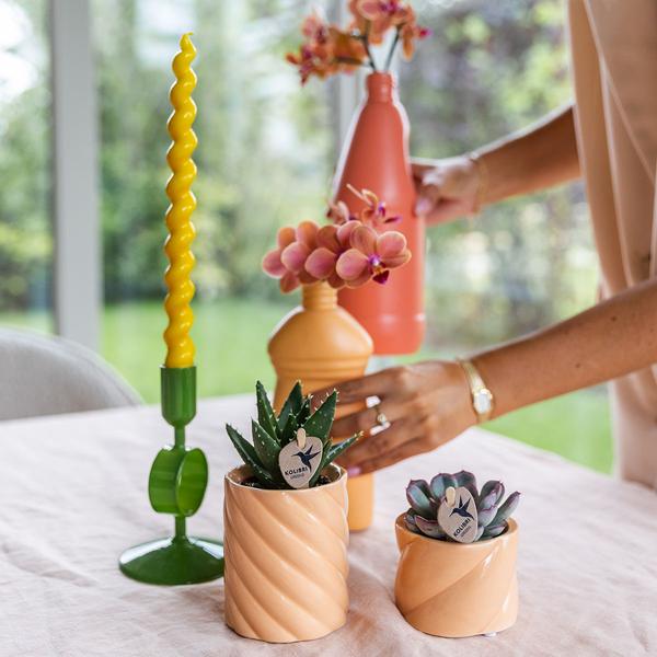 Dekotopf Candy – Pfirsich – Ø6cm – Farbiger Keramik Blumentopf in glänzender Optik – Runde Form – Für Mini-Pflanzen & Orchideen – Plant