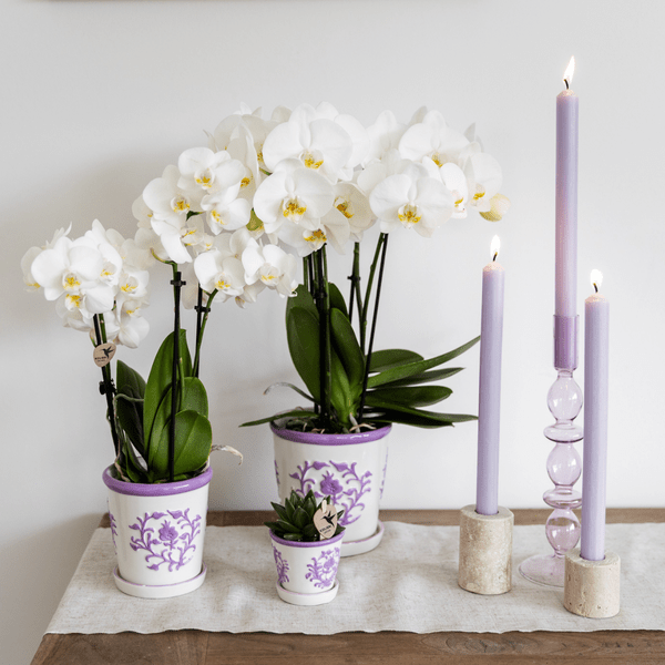 Malaga Topf Flieder – Ø9cm – Keramik Blumentopf im mediterranen Design – Dekotopf für Zimmerpflanzen, Kräuter & Sukkulenten – Hochwertig & langlebig – Plant