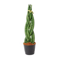 Sansevieria cylindrica Twist – Bogenhanf – pflegeleichte Zimmerpflanze – luftreinigend – ↕40cm – Ø10,5cm – Plant